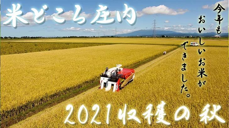 【取材レポート】2021収穫の秋・米どころ庄内～今年もおいしいお米ができました～