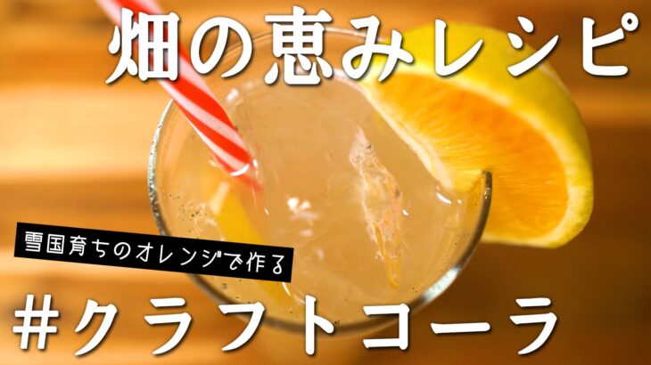【畑の恵みレシピ】雪国育ちのオレンジでクラフトコーラ作り