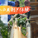 【関川しな織】しなの木の皮剥ぎ体験レポート！