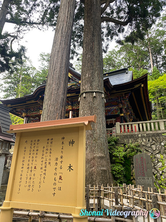 三峰神社〈重忠杉〉